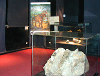 expo-ethiopie-2000-2013