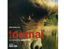 film-stine-toumai