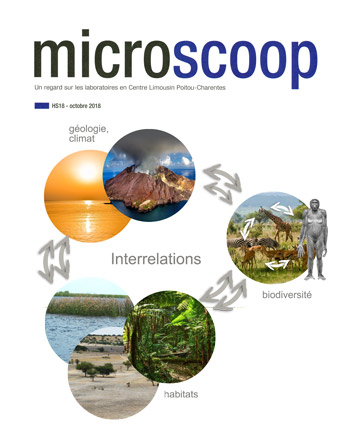 microscoop-oct-2018