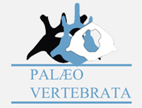 palaeo-vertebrata