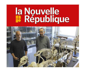 palevoprim-nr-presse-right-actu