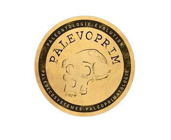 palevoprim-logo