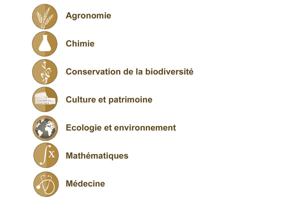 interdisciplinarite1