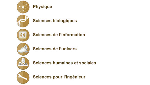 interdisciplinarite2