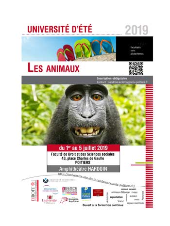 univ-ete-juillet-2019