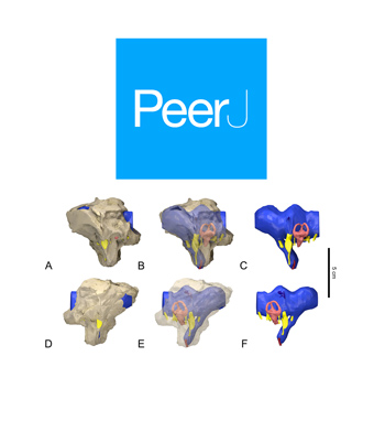 PeerJ-Valentin-Garcia-right-2019