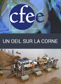 01-2015-un-oeil-sur-la-corne-visuel