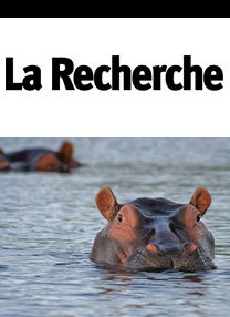 03-2011-ancetres-des-hippopotames
