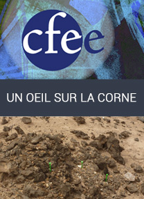 04-2015-un-oeil-sur-la-corne-visuel