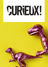 04-2019-dinosaures-ont-ils-vriament-disparus-Curieux