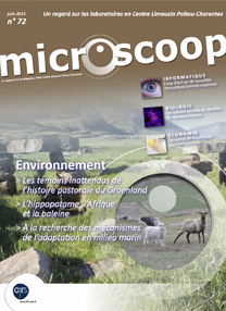 06-2015-microscoop-72-hippo