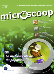 07-2012-microscoop-66-vallee-omo