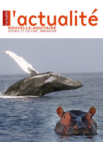 2015-actu-NA-court-chemin-hippo-baleine