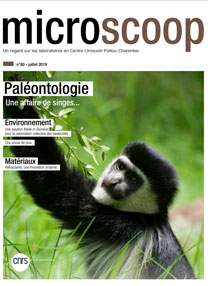 2019-07–microscoop-singe