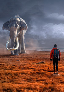 a-quoi-sert-paleontologie-boisserie-web