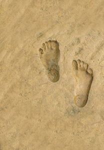 humanite-force-geologique-boisserie-web