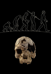 humanite-va-disparaitre-boisserie-web
