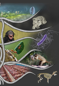 nature-huamine-fragment-nature-boisserie-web