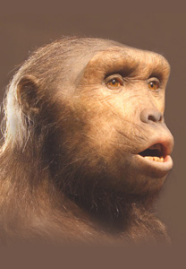 origine-homme-vignaud-web